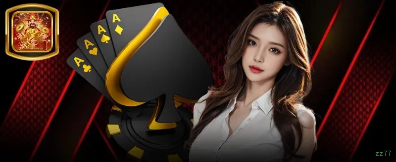 Termos de Serviço zz77